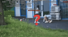当日曲播内容冒险逛戏